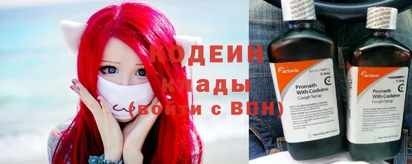 таблы Богородицк