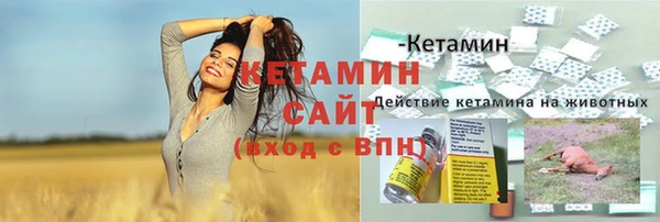 таблы Богородицк