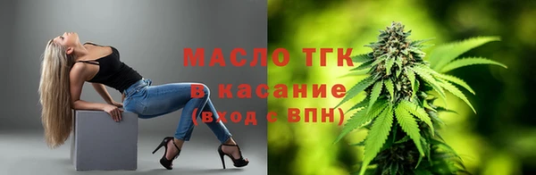 молекула духа Богданович