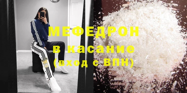 молекула духа Богданович