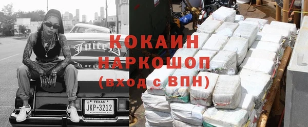 молекула духа Богданович