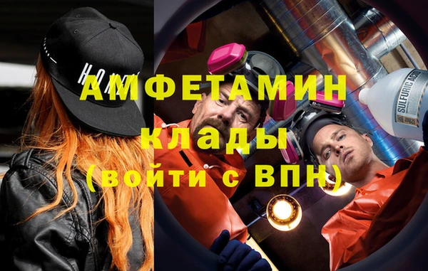молекула духа Богданович